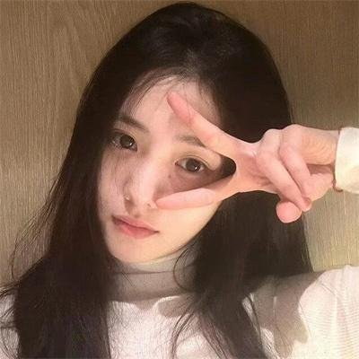 休战协定