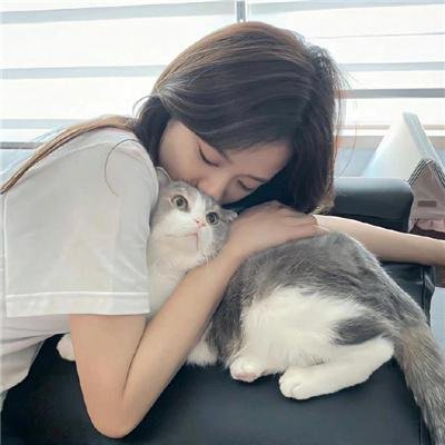 你好赛先生第二季